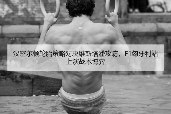 han-mi-er-dun-lun-tai-ce-lve-dui-jue-wei-si-ta-pan-gong-fang-xiong-ya-li-zhan-shang-yan-zhan-shu-bo-yi-2-699.jpg