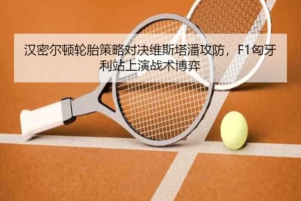 han-mi-er-dun-lun-tai-ce-lve-dui-jue-wei-si-ta-pan-gong-fang-xiong-ya-li-zhan-shang-yan-zhan-shu-bo-yi-3-398.jpg