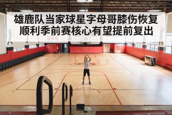 雄鹿队当家球星字母哥膝伤恢复顺利季前赛核心有望提前复出