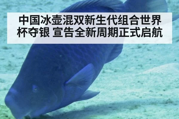 中国冰壶混双新生代组合世界杯夺银 宣告全新周期正式启航